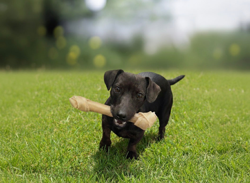 Waarom kiezen wij voor natuurlijke snacks