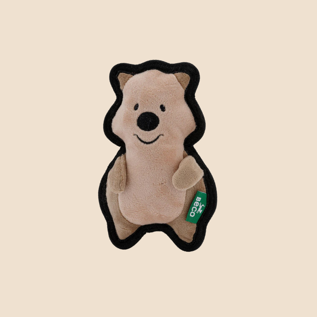 Beco Ruig en sterk Quokka