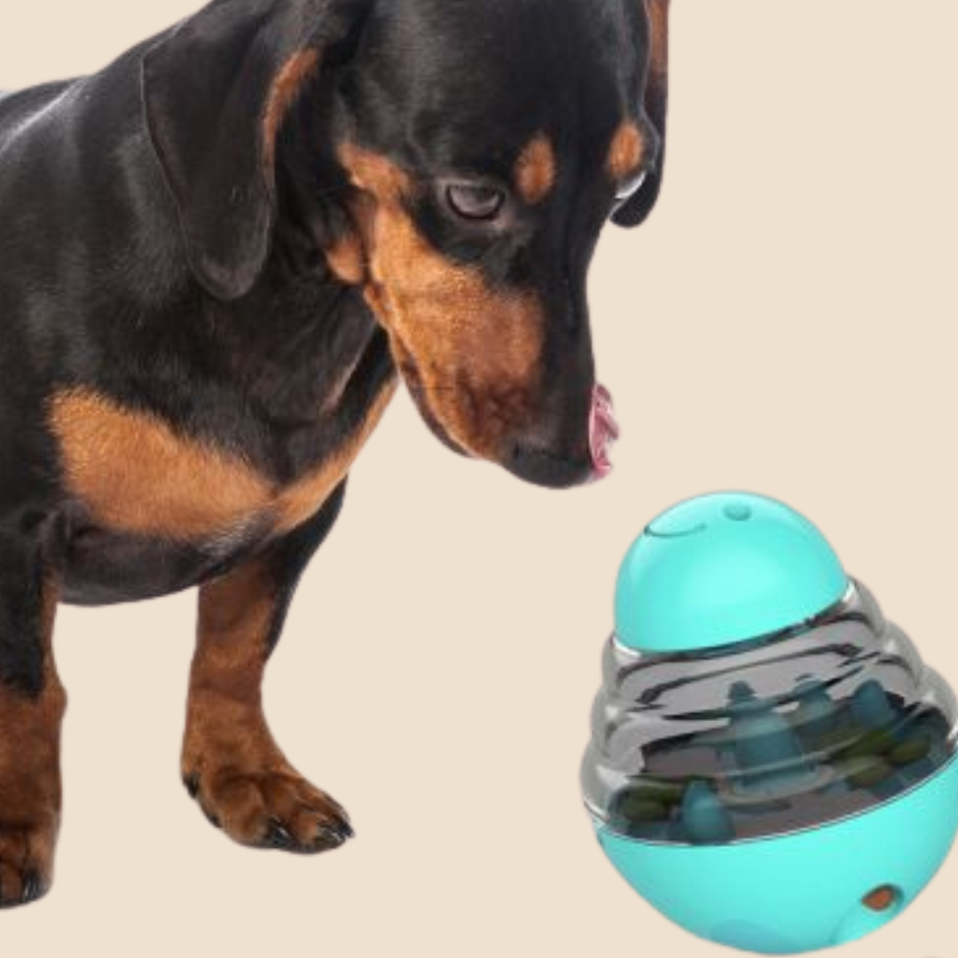 Topmast Trainingsbal