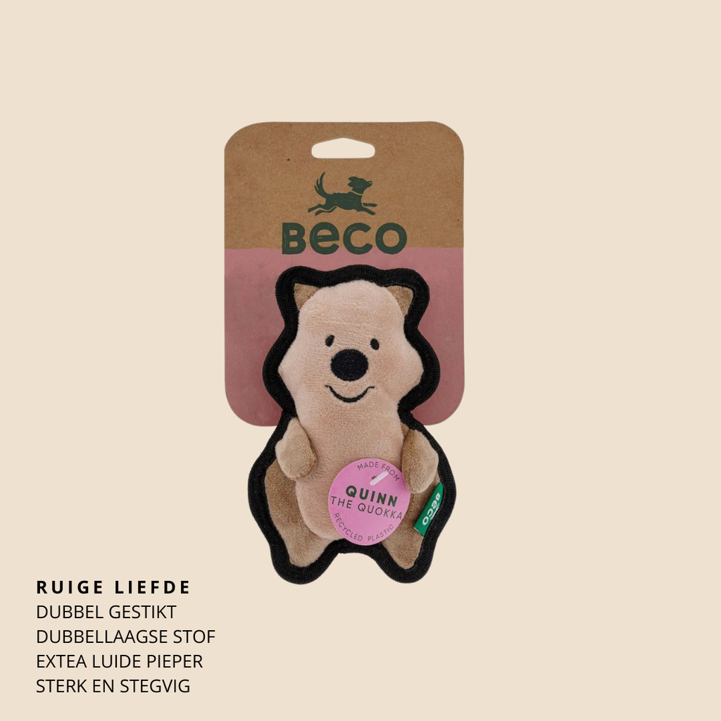 Beco Ruig en sterk Quokka
