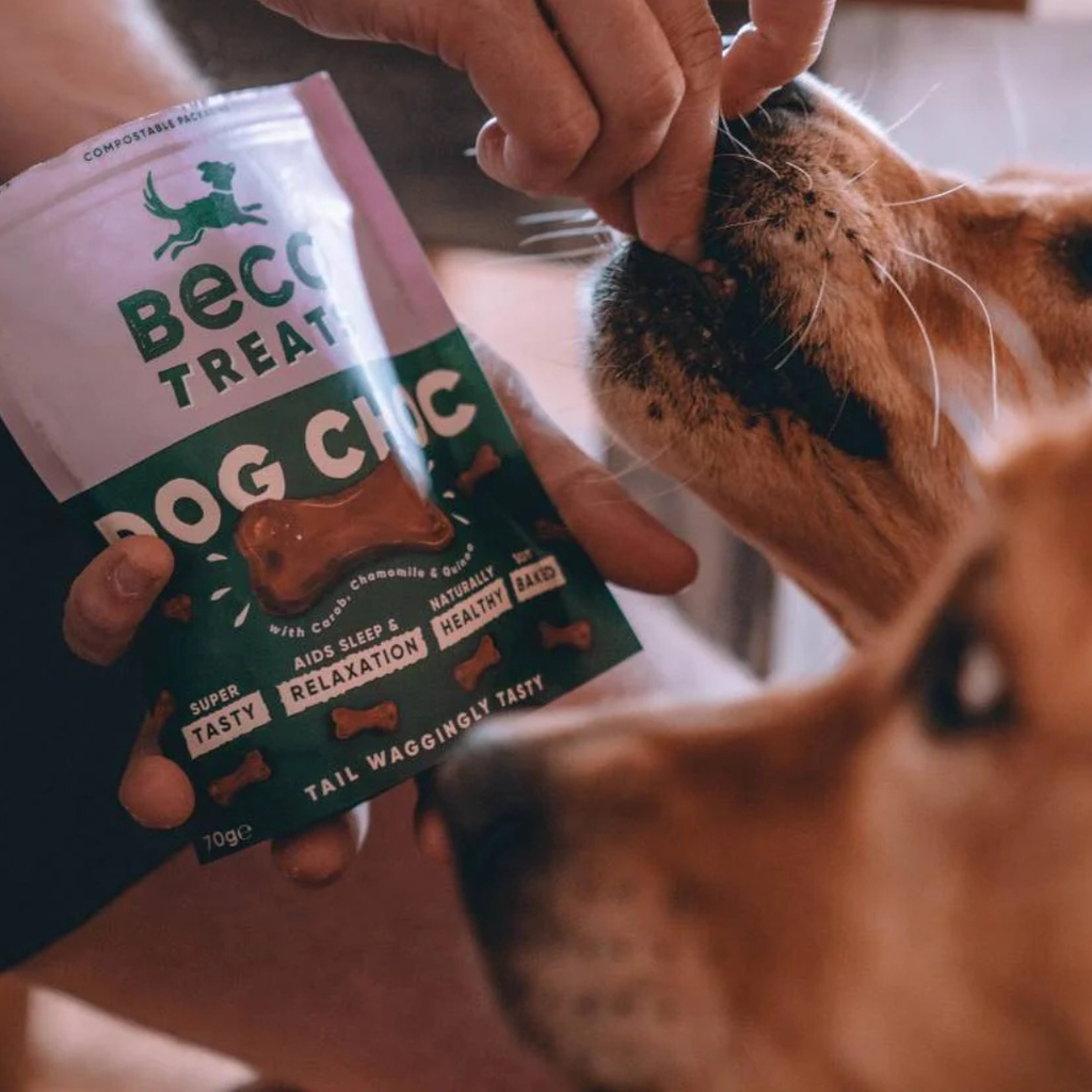 Beco Treats Dog Choc 70g