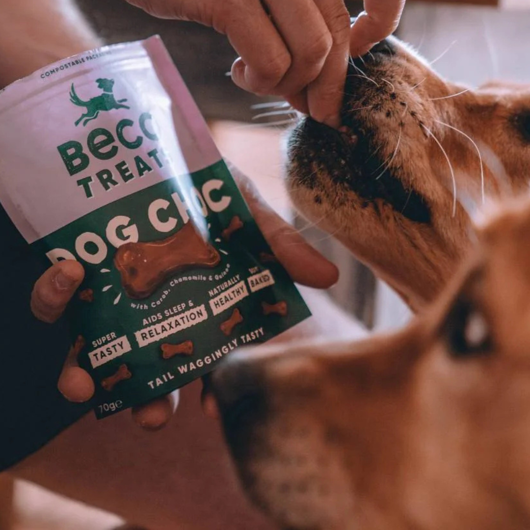 Beco Treats Dog Choc 70g