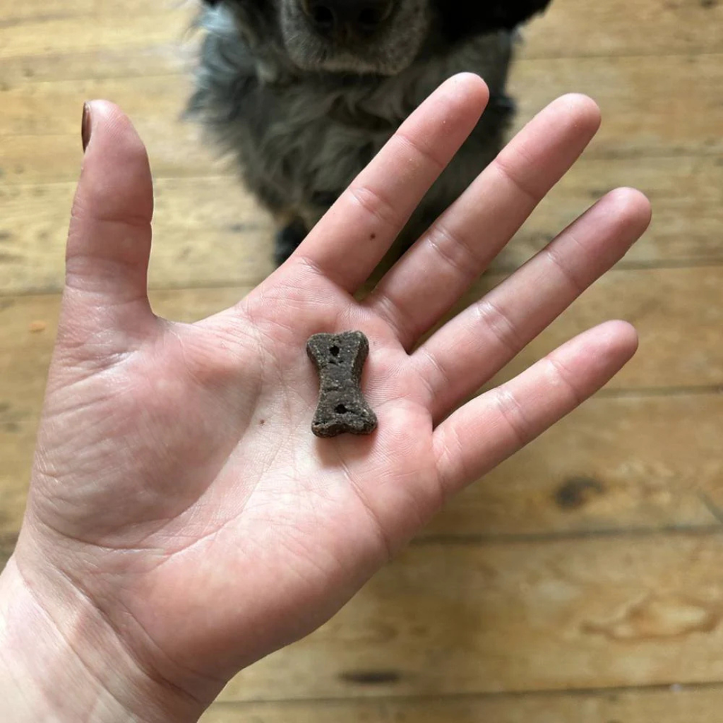 Beco Treats Dog Choc 70g