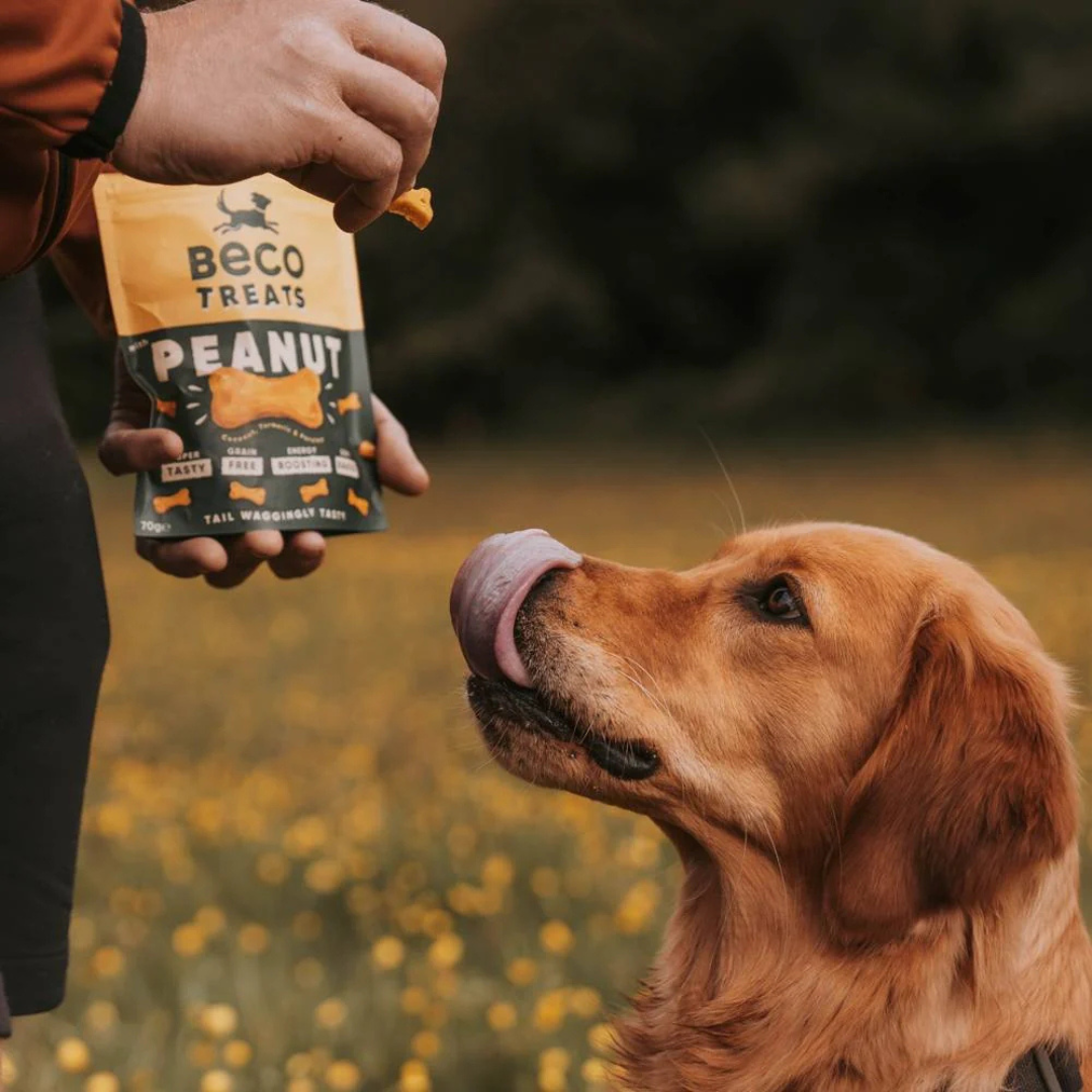 Beco Treats Peanut 70g