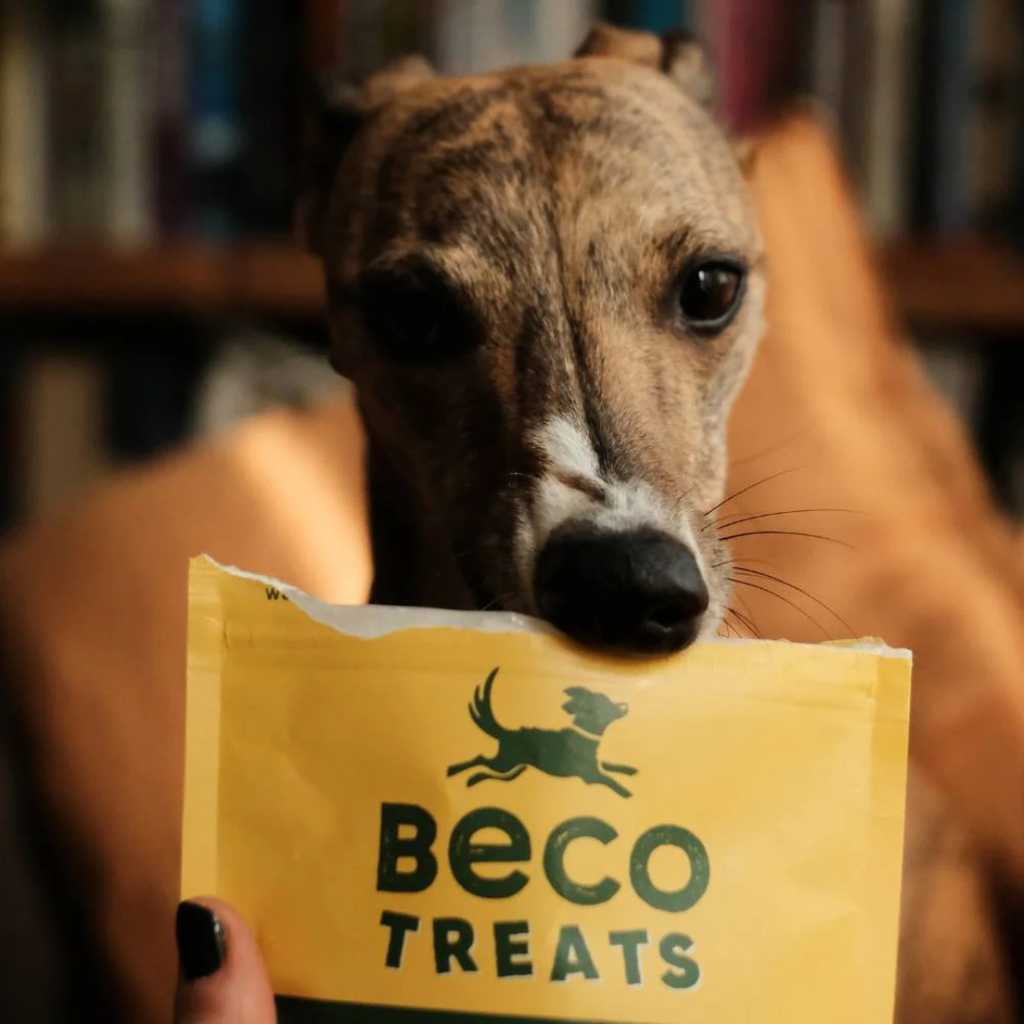 Beco Treats Peanut 70g