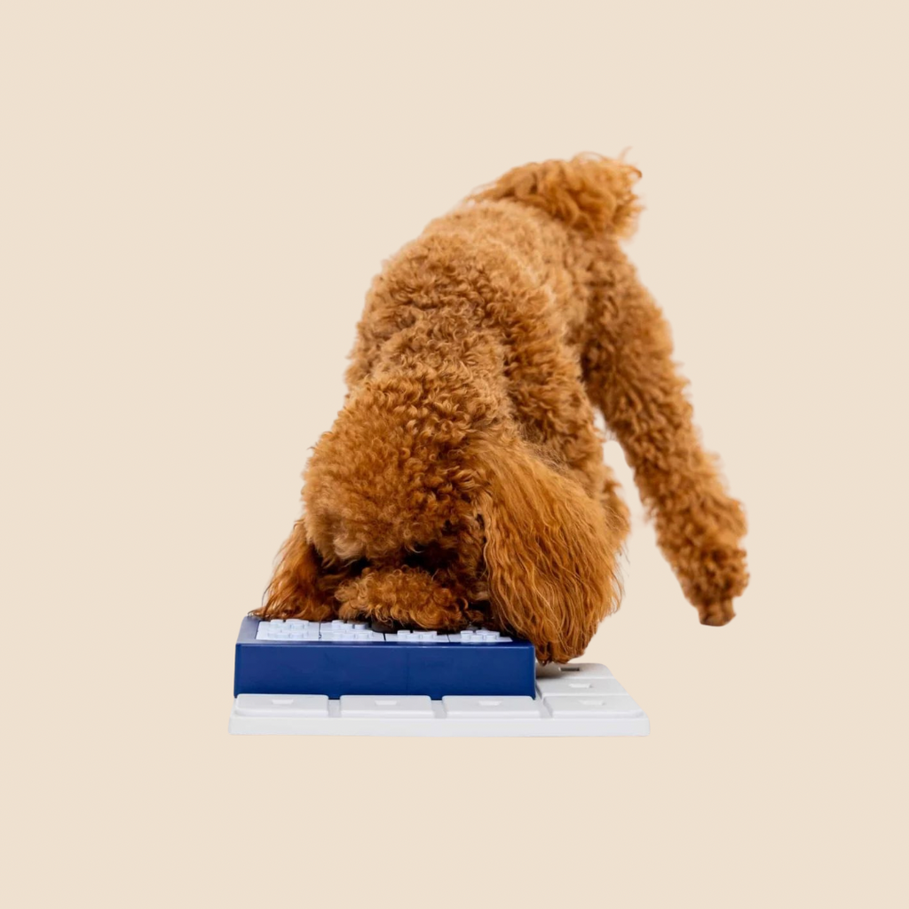 Louvre Pawzle Niveau 3