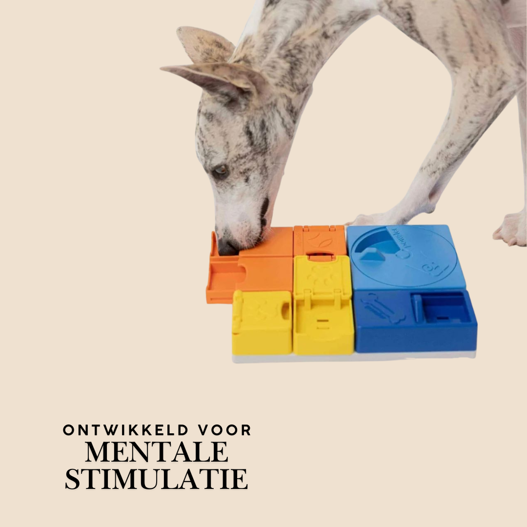 Rainbow Pawzle Niveau 1,2 en 3