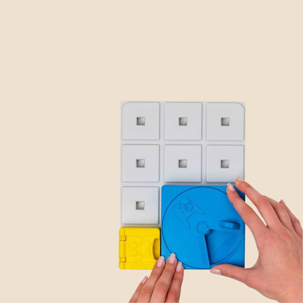 Rainbow Pawzle Niveau 1,2 en 3