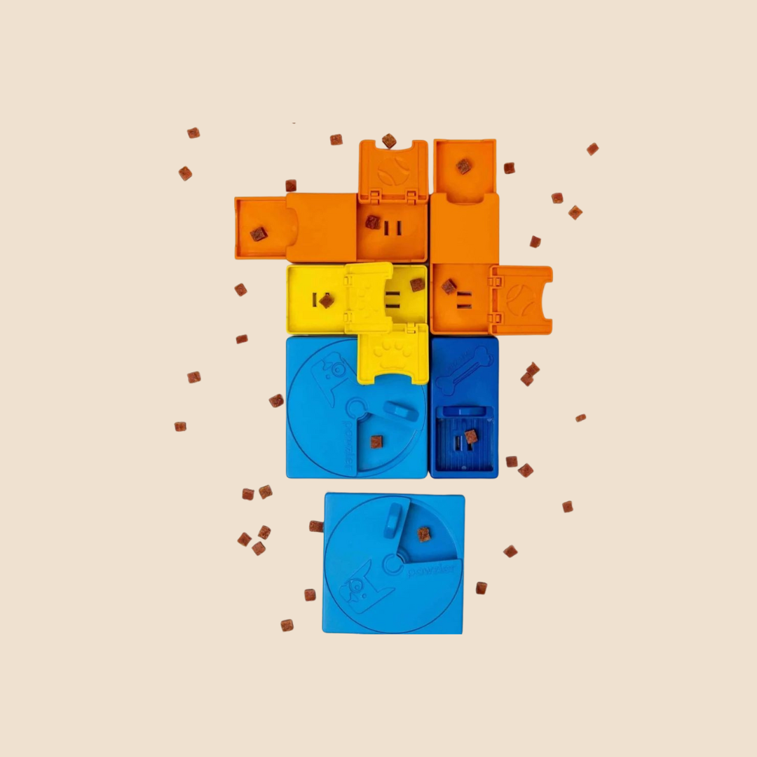 Rainbow Pawzle Niveau 1,2 en 3