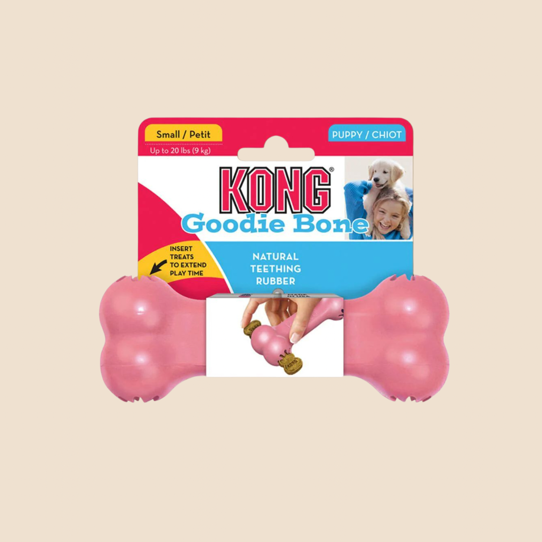 Kong Puppy kauwbot