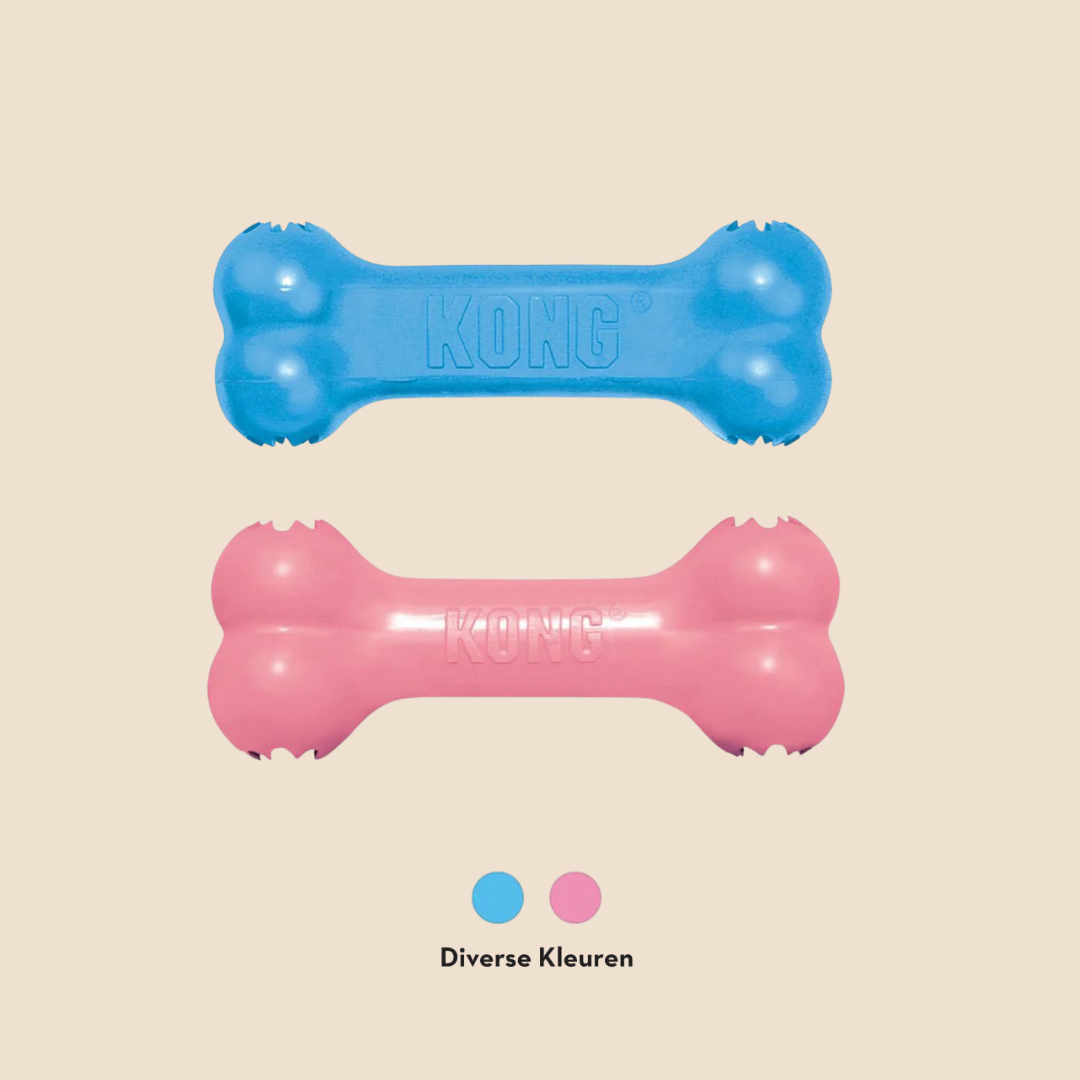 Kong Puppy kauwbot