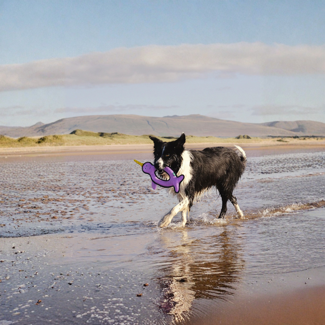 Beco Ruig en sterk Narwal