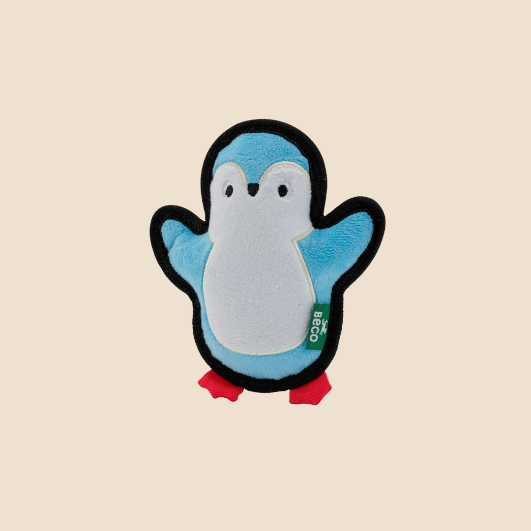 Beco Ruig en sterk Pinguïn