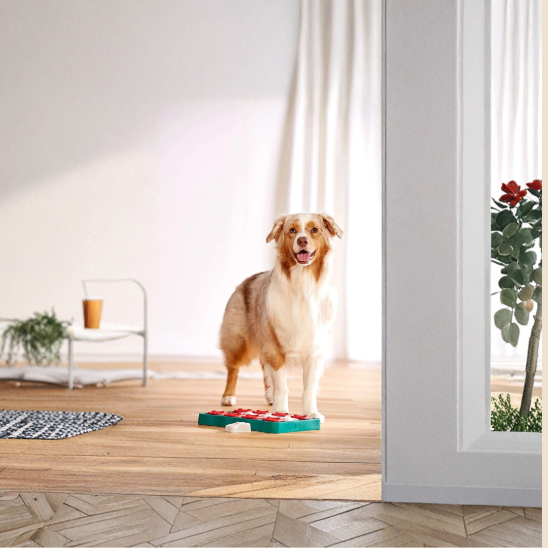 Dog Brick puzzel niveau 2