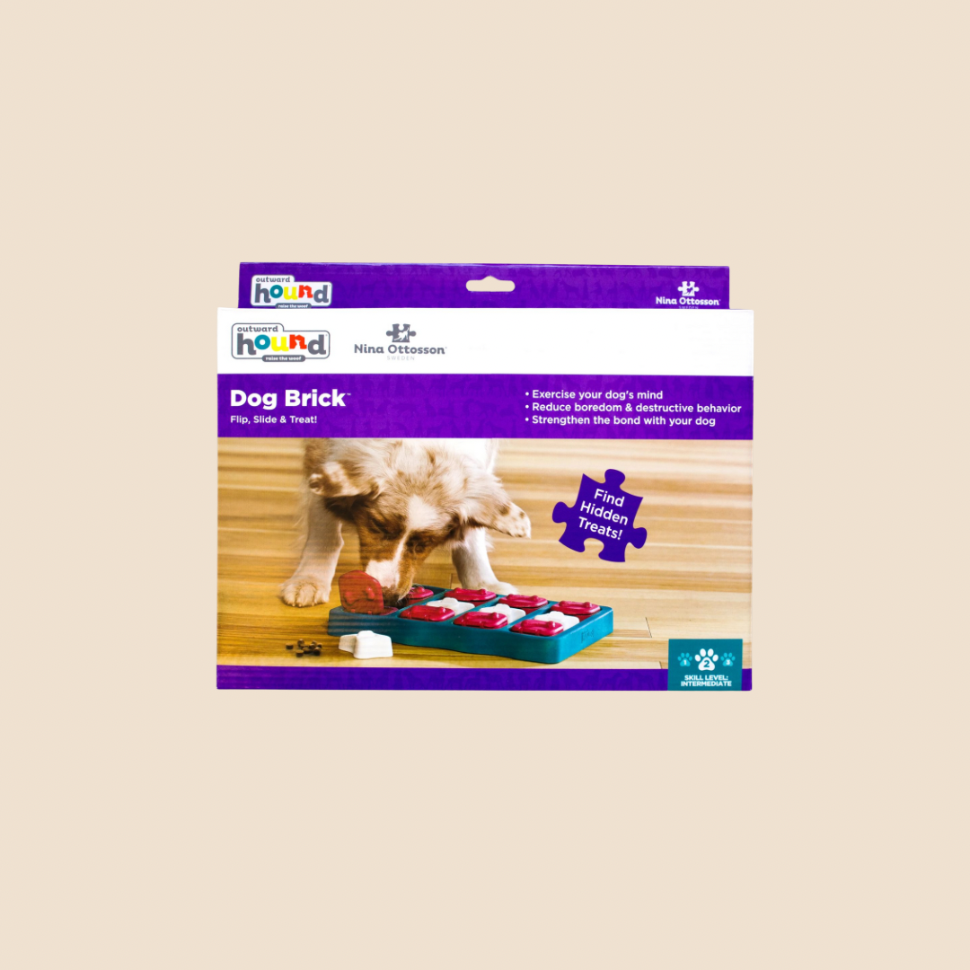 Dog Brick puzzel niveau 2