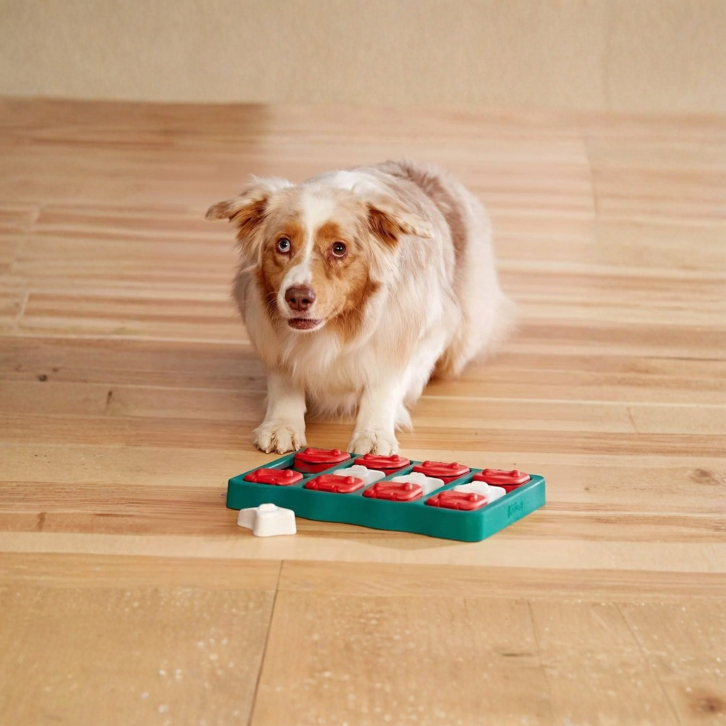 Dog Brick puzzel niveau 2