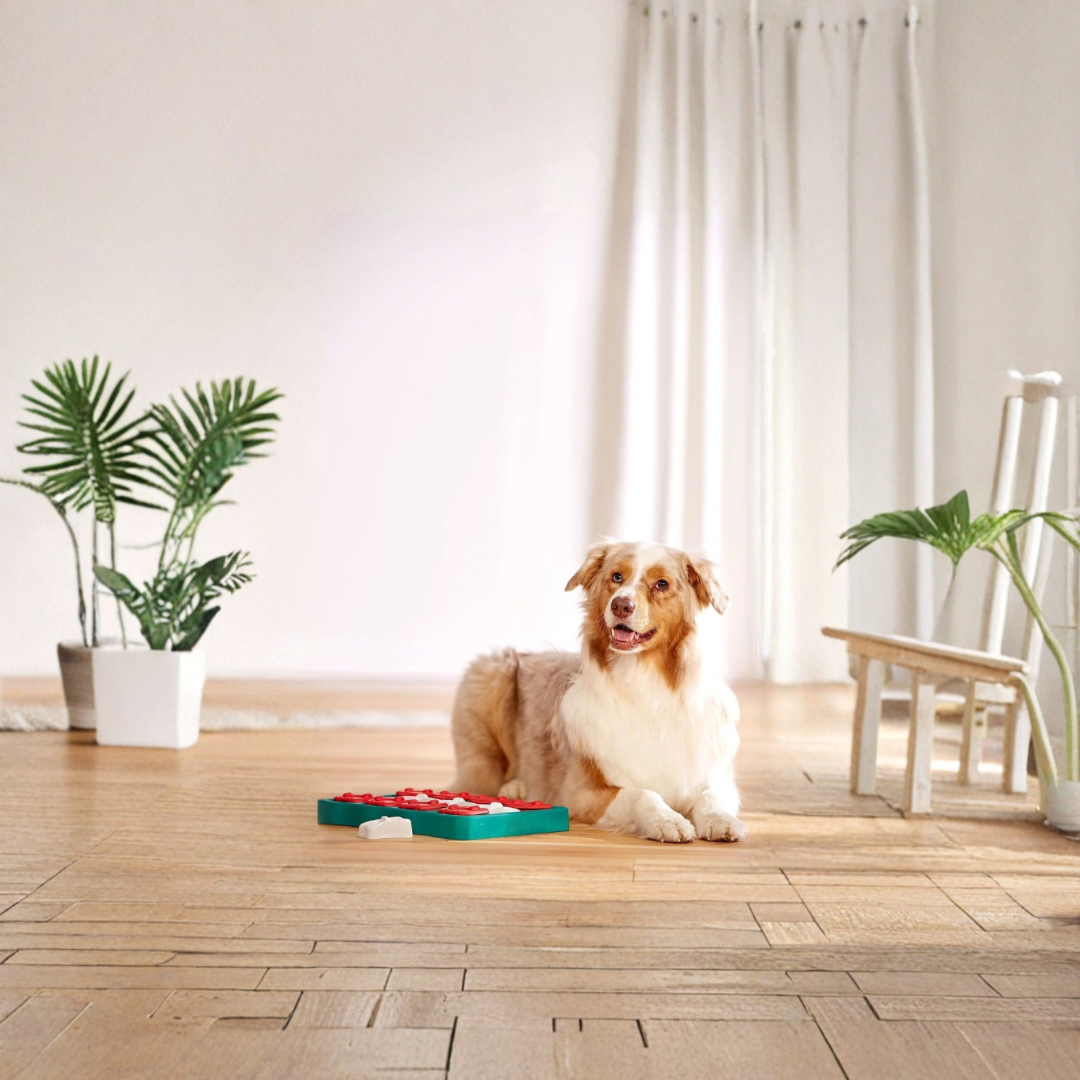 Dog Brick puzzel niveau 2