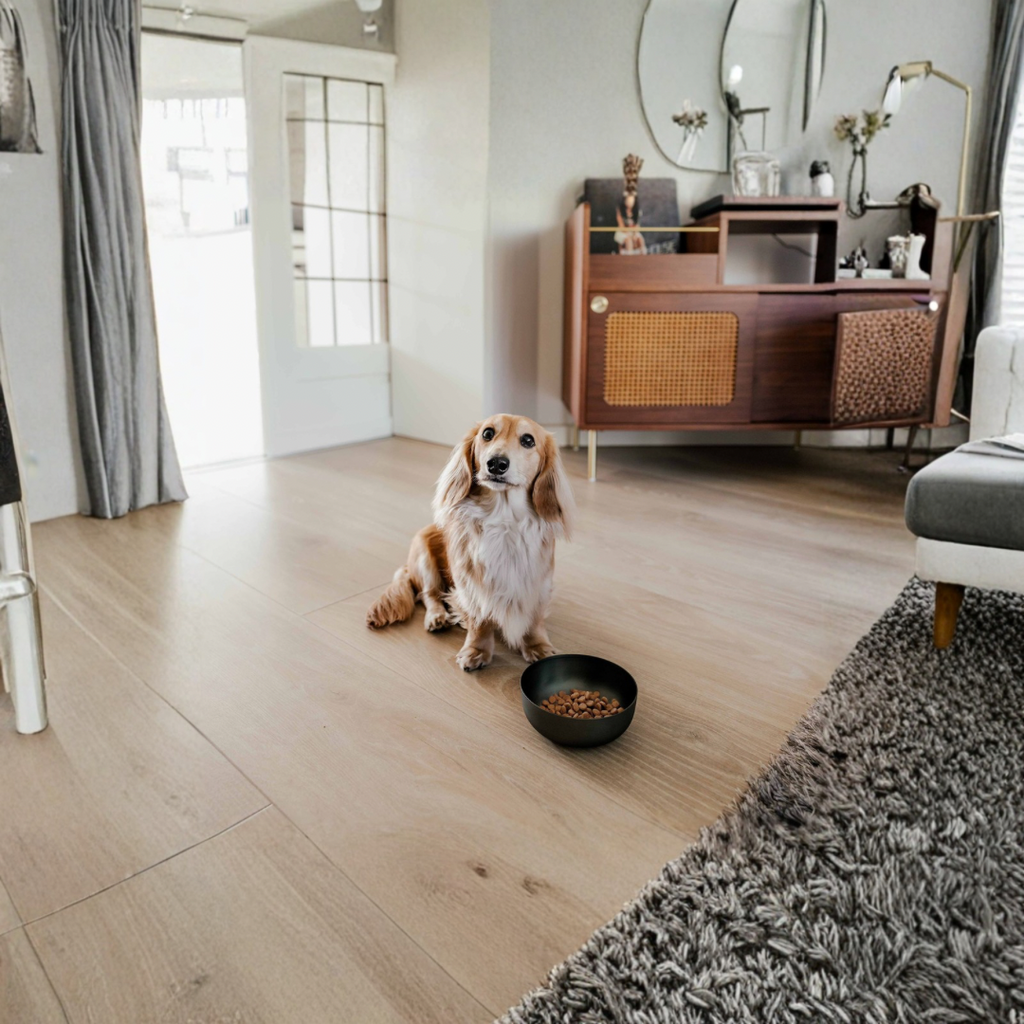 ROYAL Roestvrij drink & eetbak