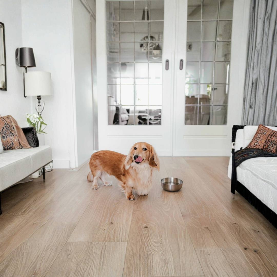 ROYAL Roestvrij drink & eetbak