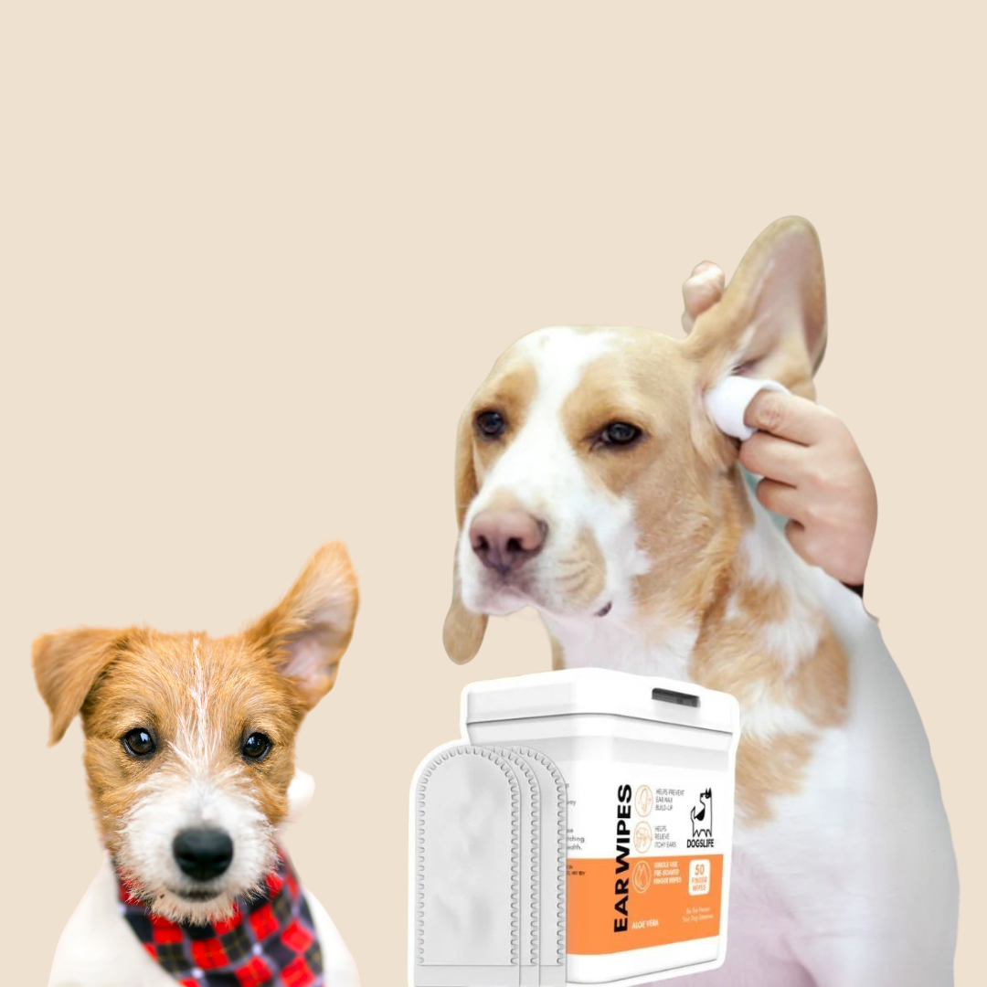 OurDogsLife oordoekjes ( 50 stk )