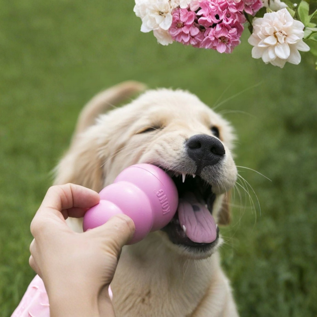 Kong Puppy Kauwspeelgoed
