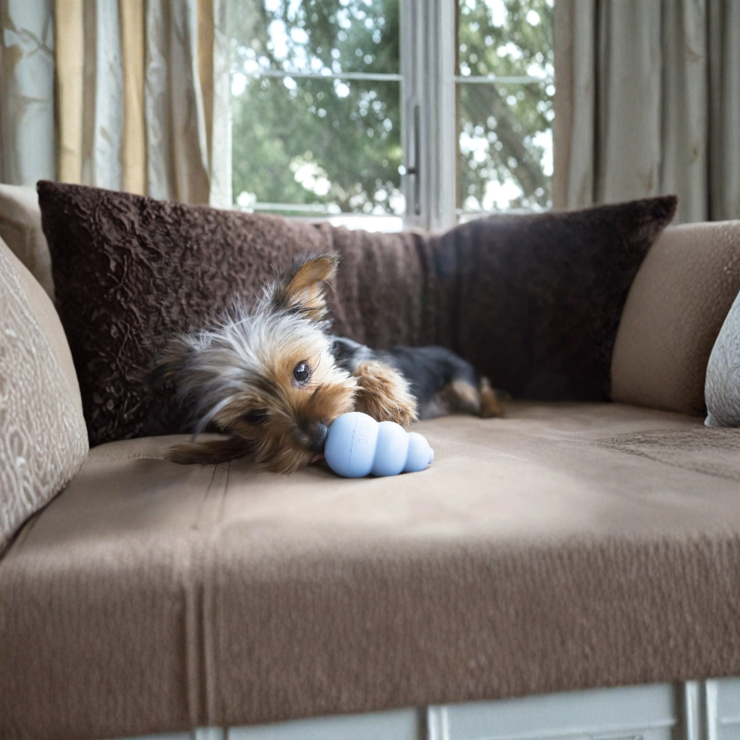 Kong Puppy Kauwspeelgoed