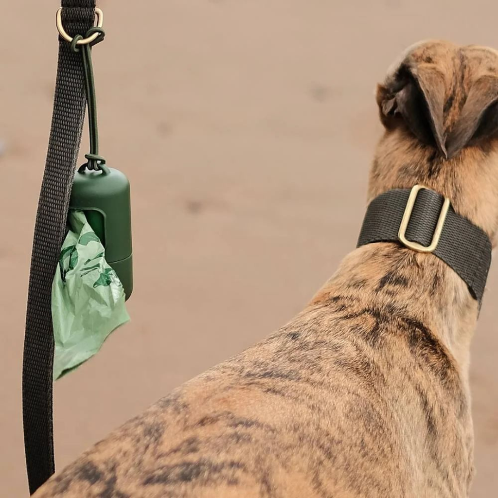 Poepzakjes houder Gerecycled plastic - Houder met een Rol (15 stuks)