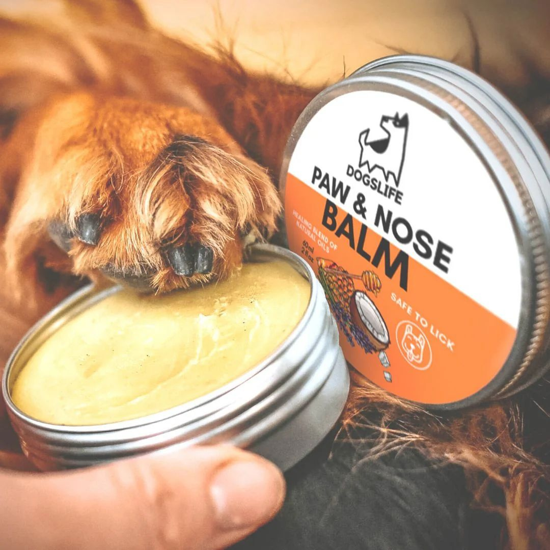 OurDogsLife neus/poot balm