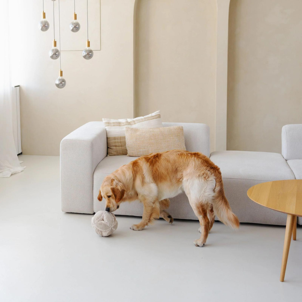 District Bobby Snuffelbal