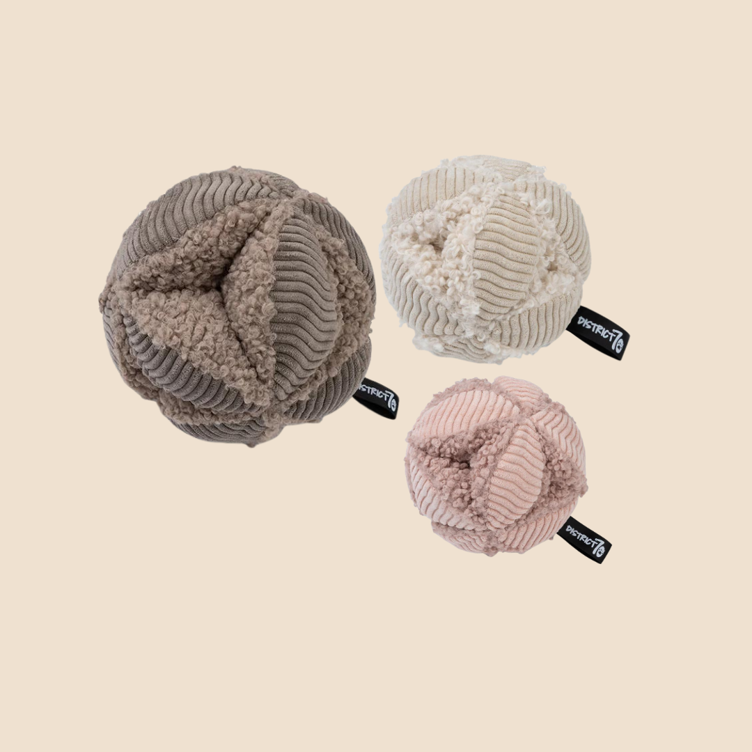 District Bobby Snuffelbal