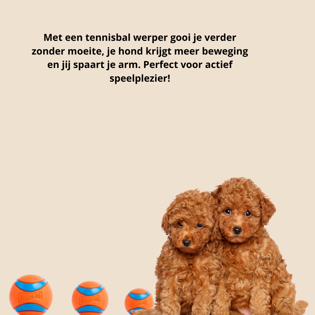 Chuckit Ballen werpstok