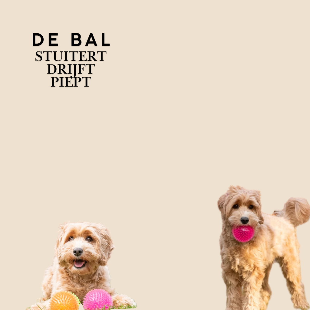 Dogs Comets Egelbal
