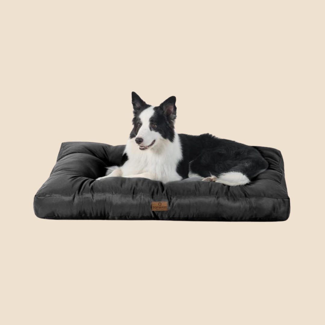 Topmast hondenmand noble