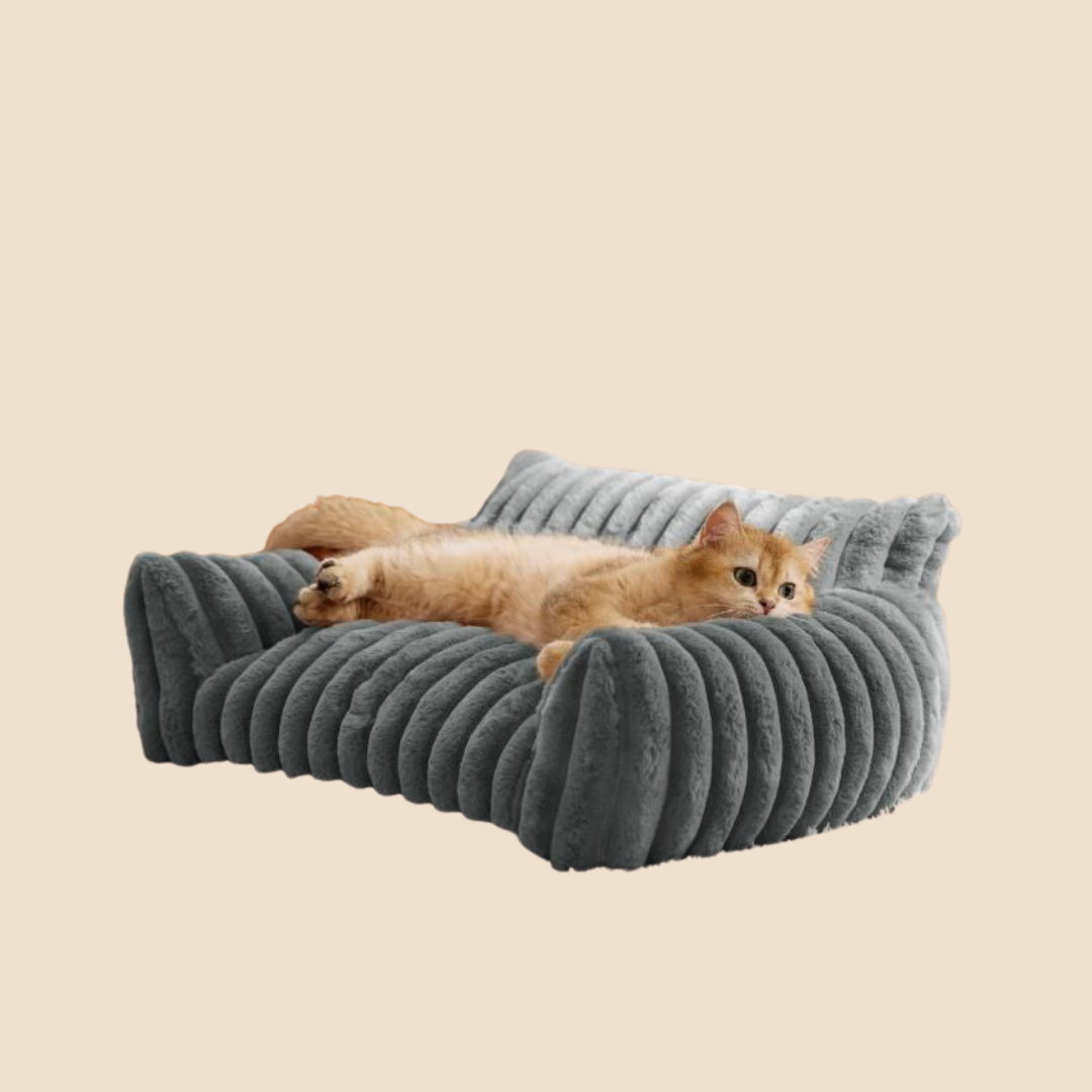 Topmast bank hond/kat