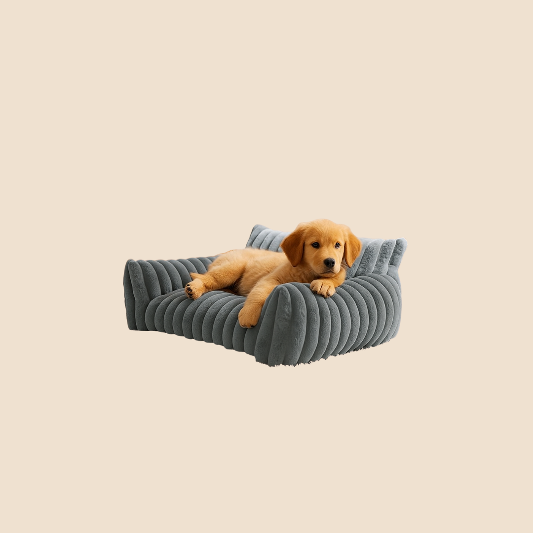 Topmast bank hond/kat