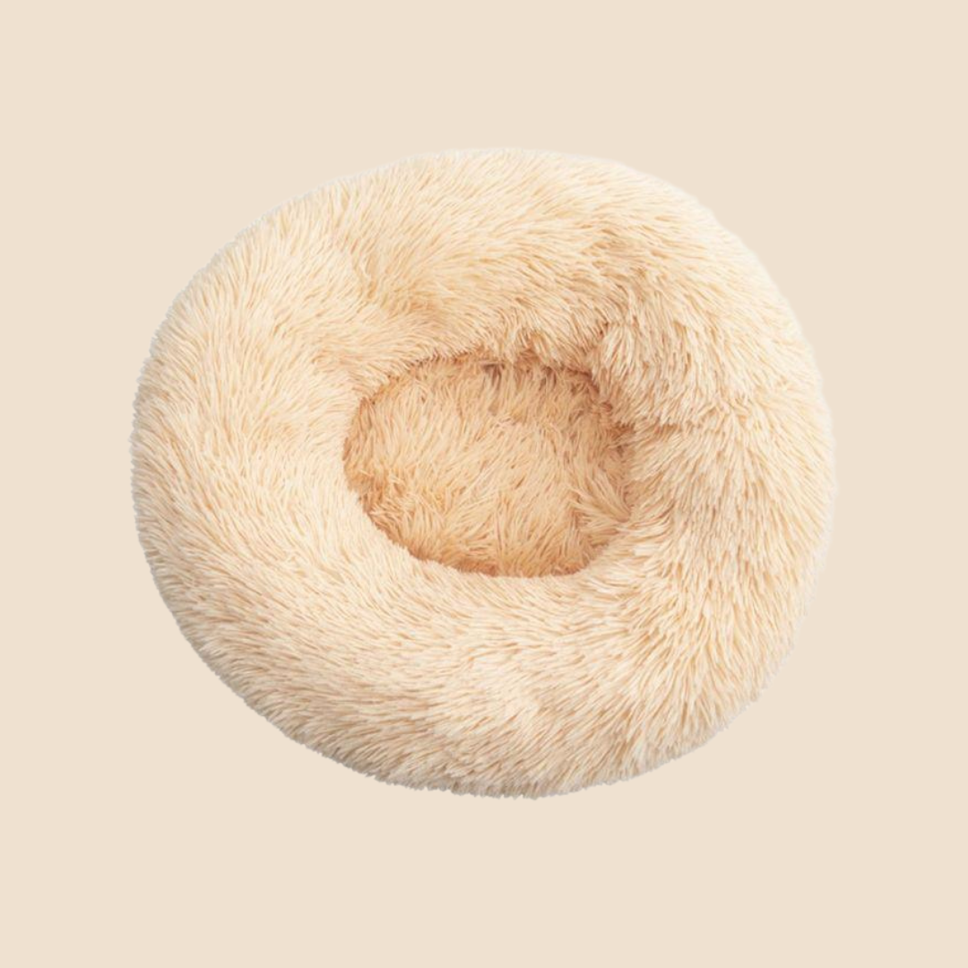Topmast fluffy donut