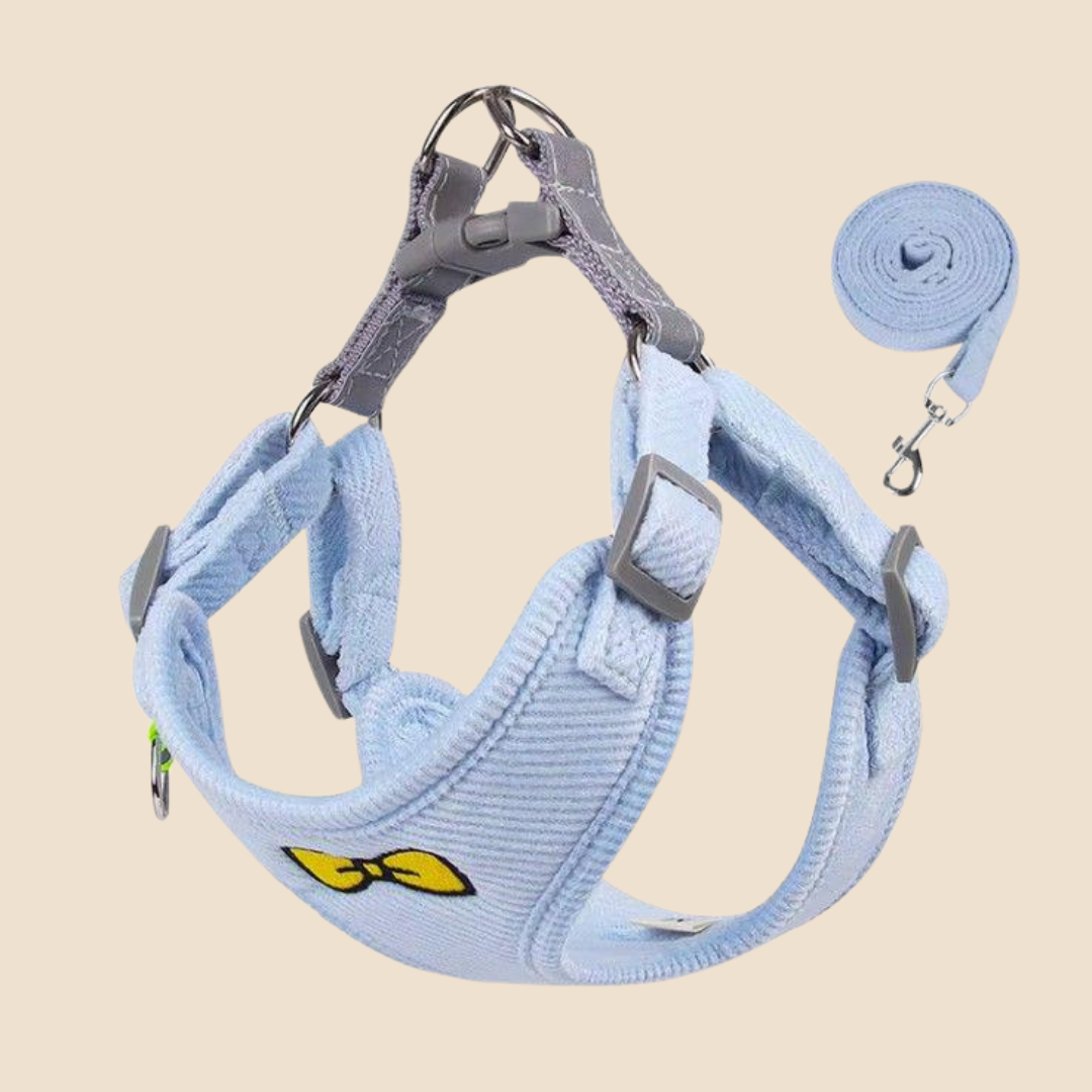 Hondentuigje + Looplijn