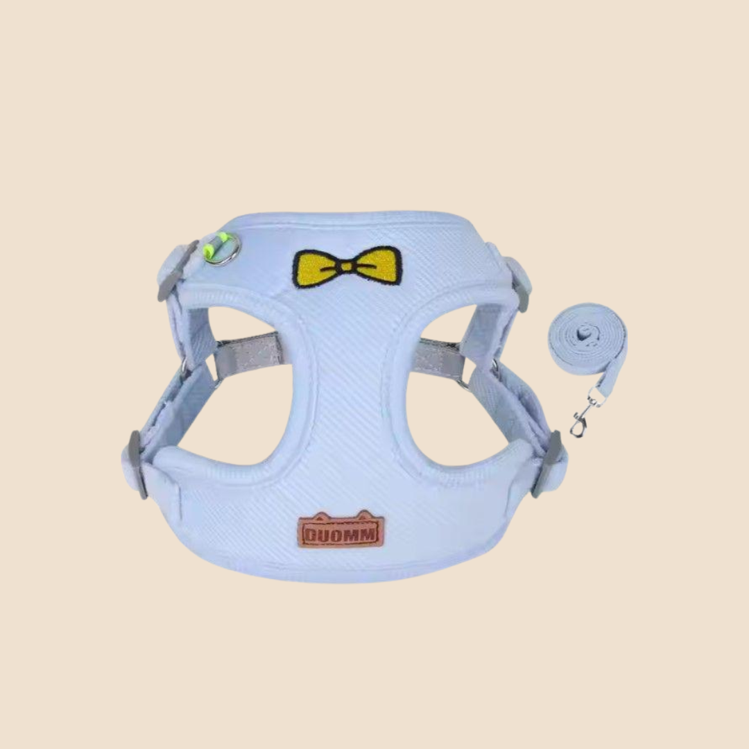 Hondentuigje + Looplijn