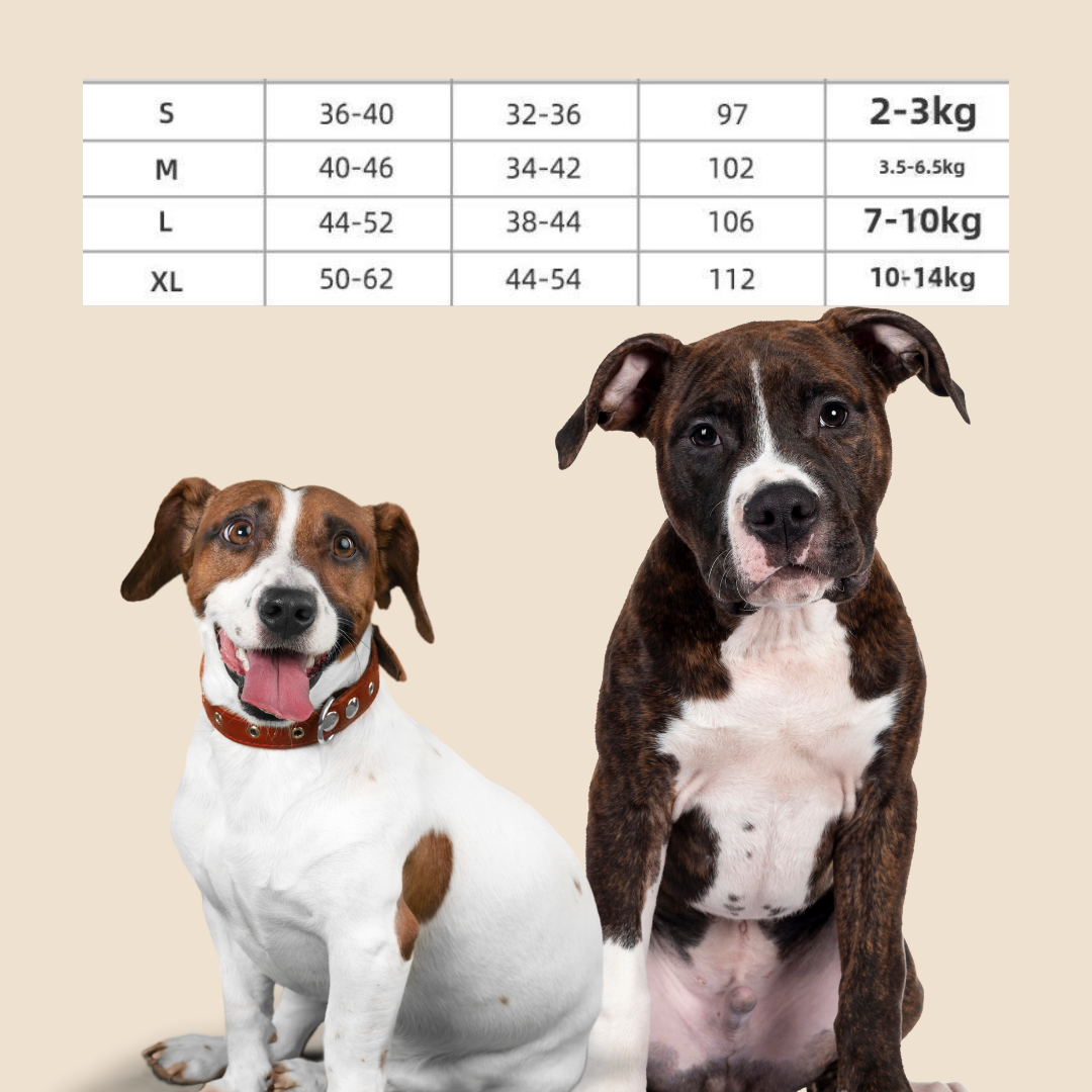 Hondentuigje + Looplijn