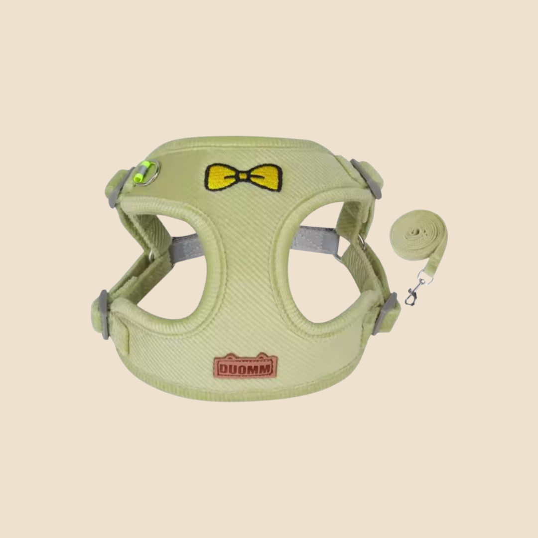 Hondentuigje + Looplijn