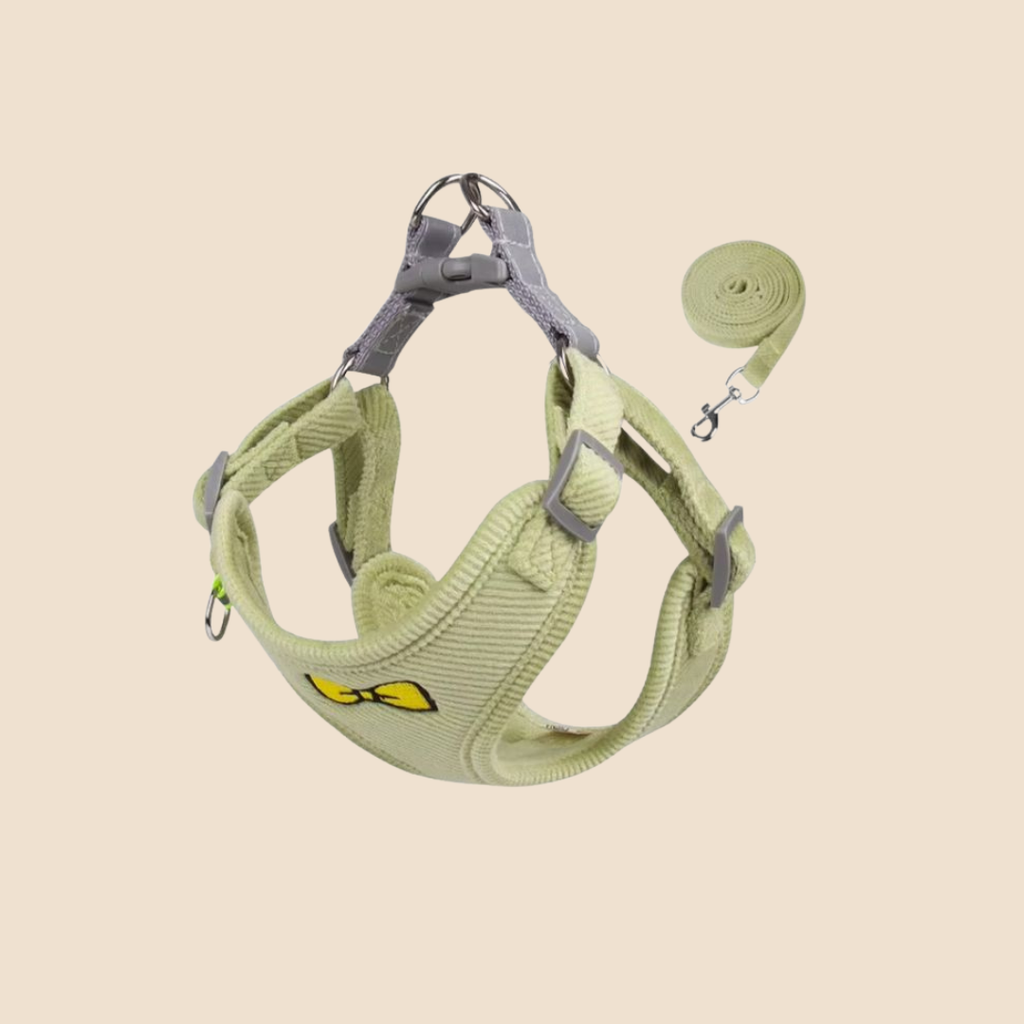 Hondentuigje + Looplijn