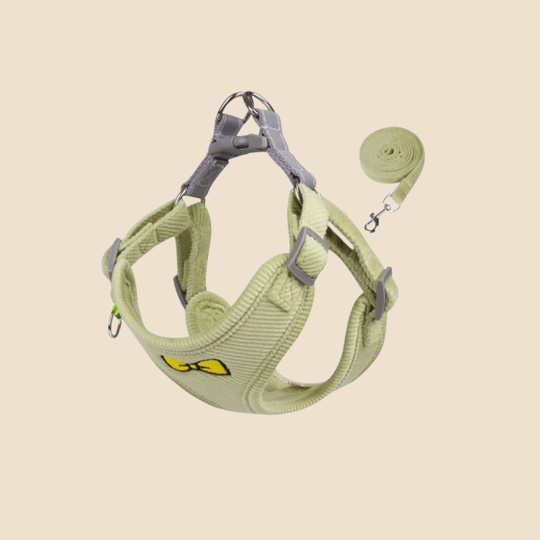 Hondentuigje + Looplijn