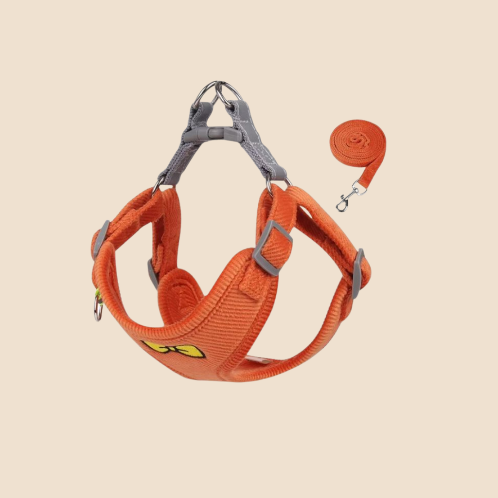 Hondentuigje + Looplijn