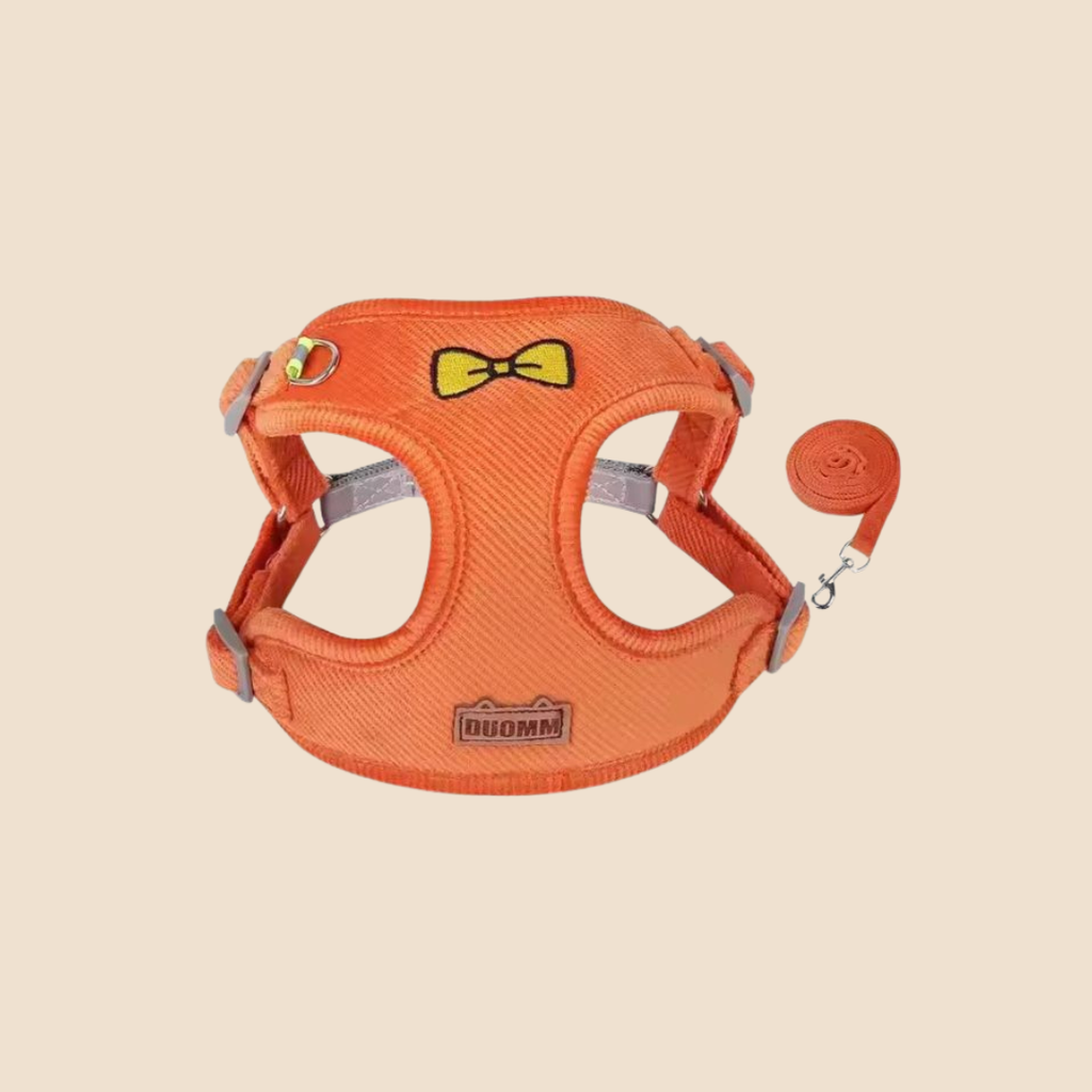 Hondentuigje + Looplijn