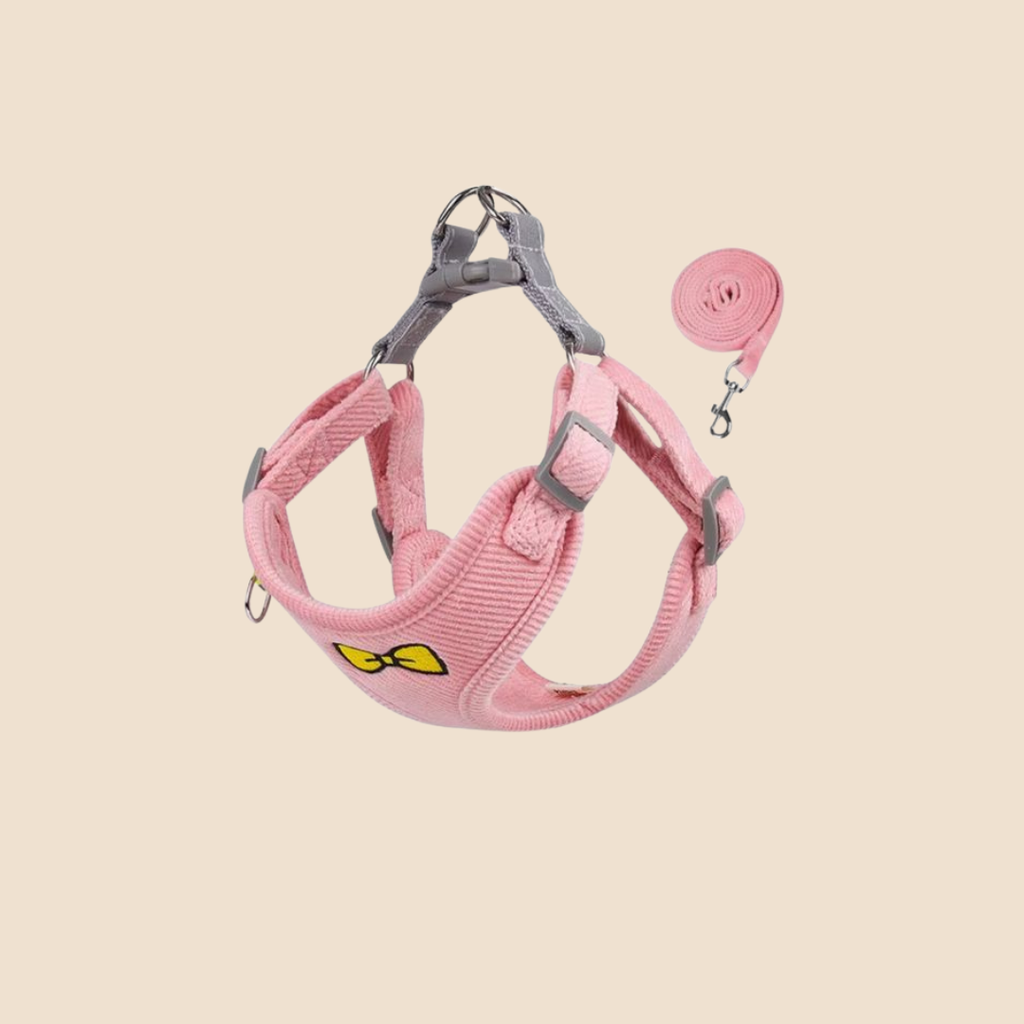 Hondentuigje + Looplijn