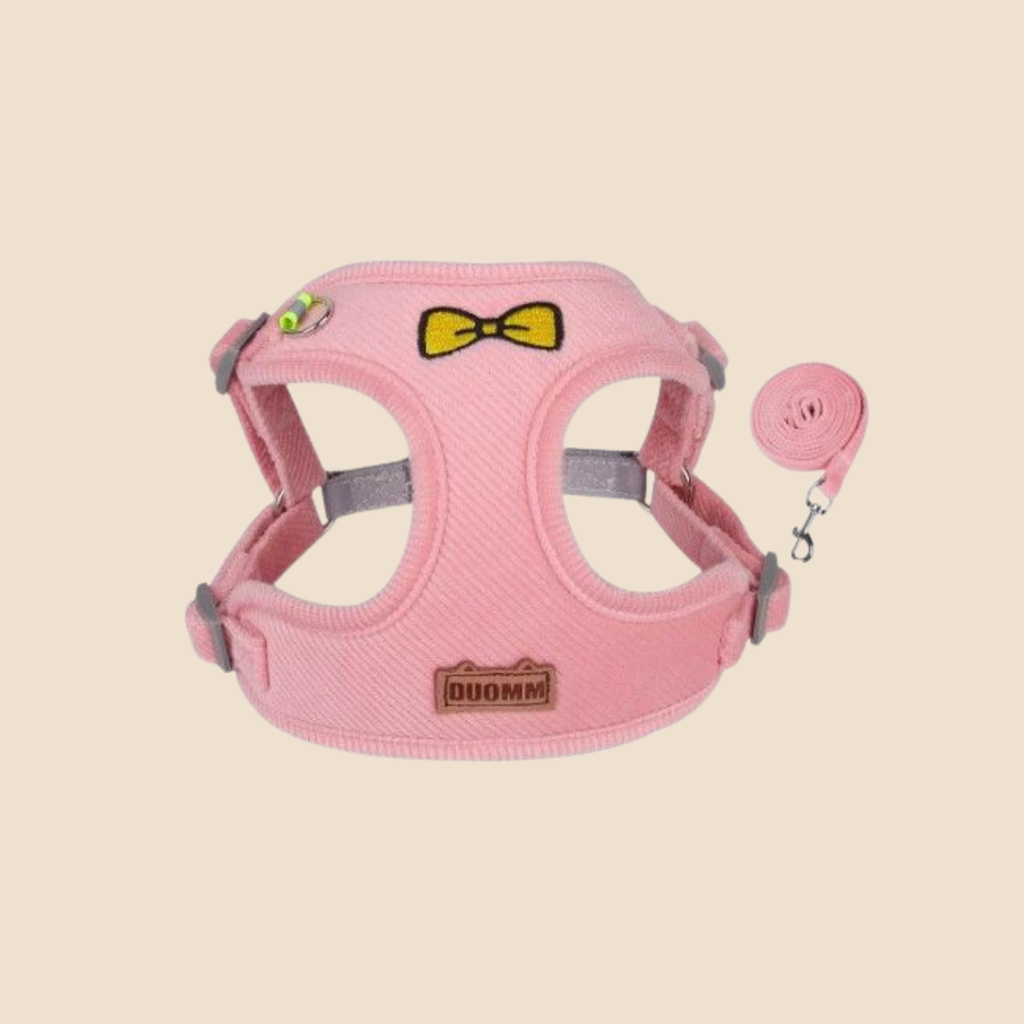 Hondentuigje + Looplijn