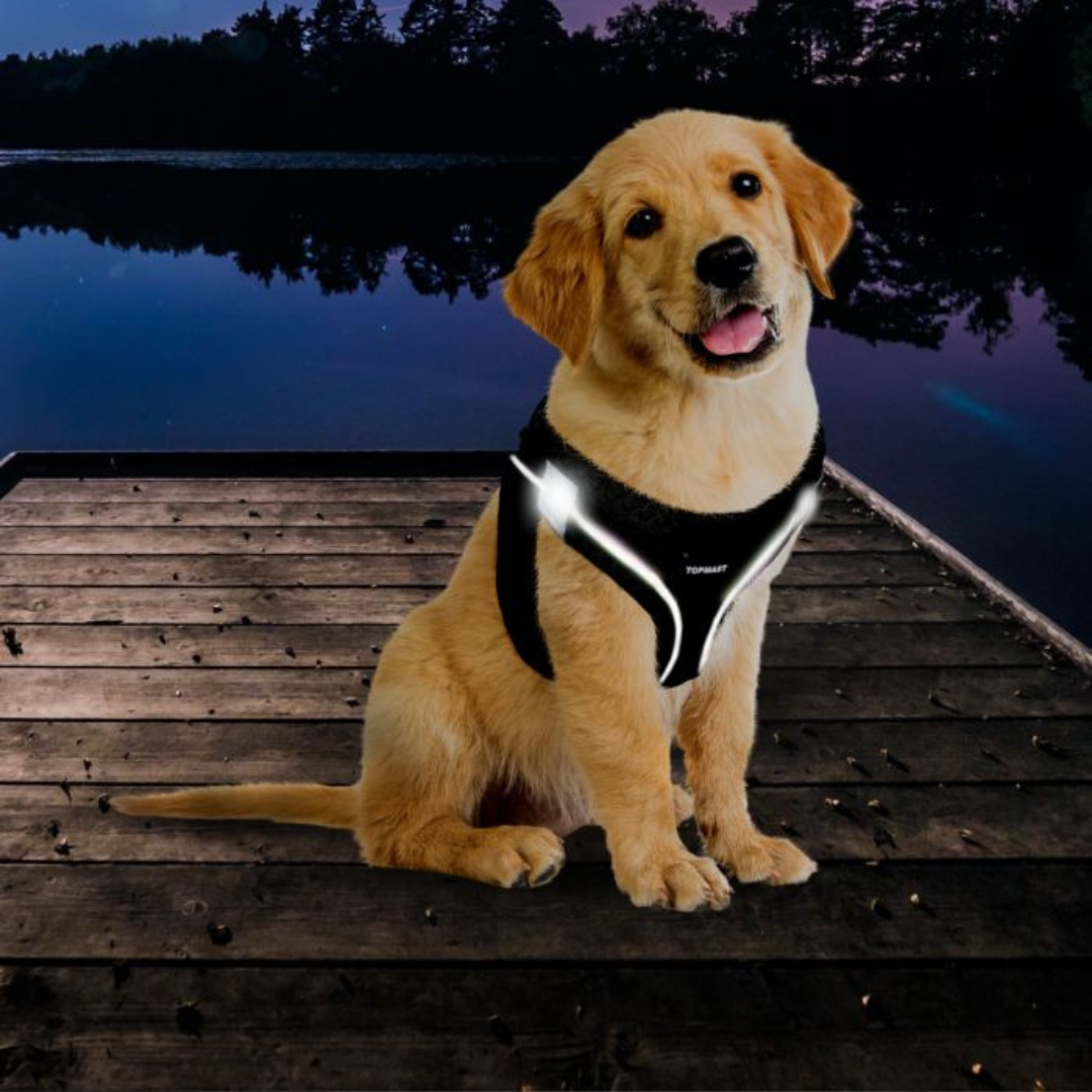 Topmast Hondentuigje met Reflexi