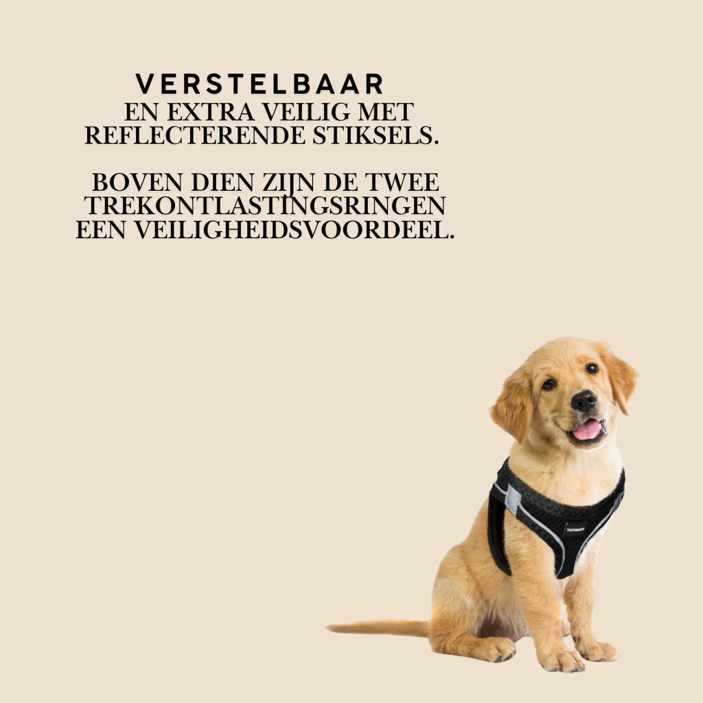 Topmast Hondentuigje met Reflexi
