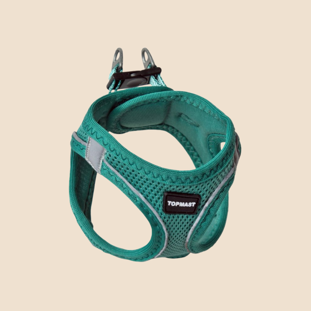 Topmast Hondentuigje met Reflexi