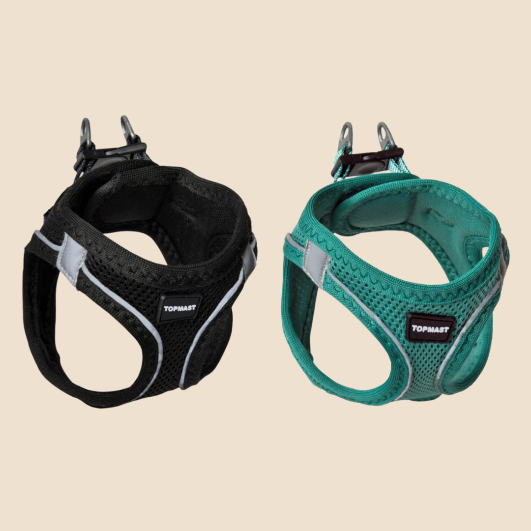 Topmast Hondentuigje met Reflexi